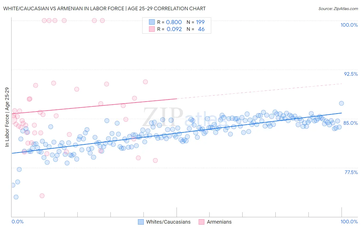 White/Caucasian vs Armenian In Labor Force | Age 25-29