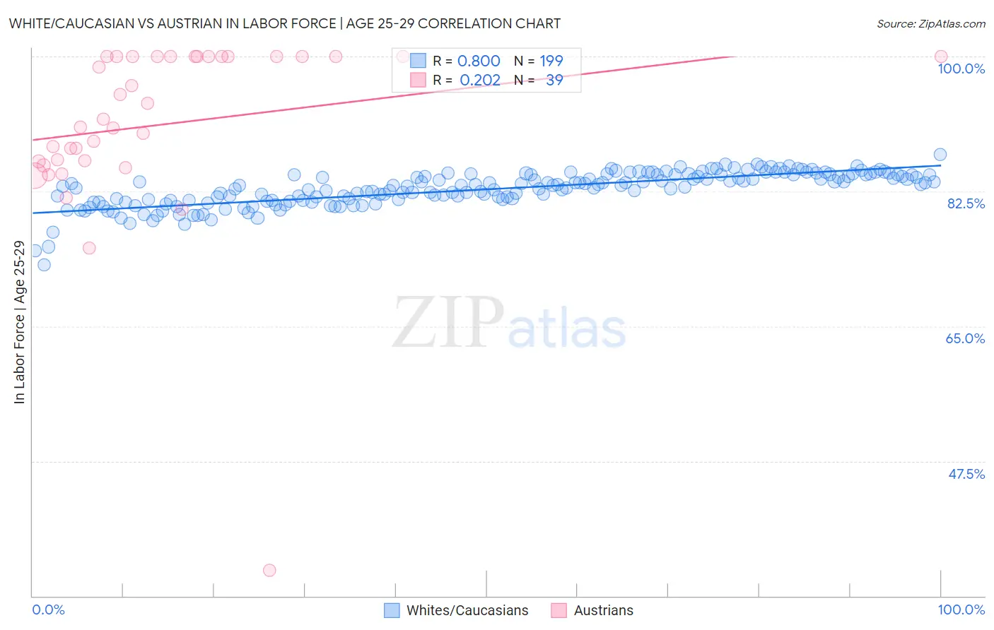 White/Caucasian vs Austrian In Labor Force | Age 25-29