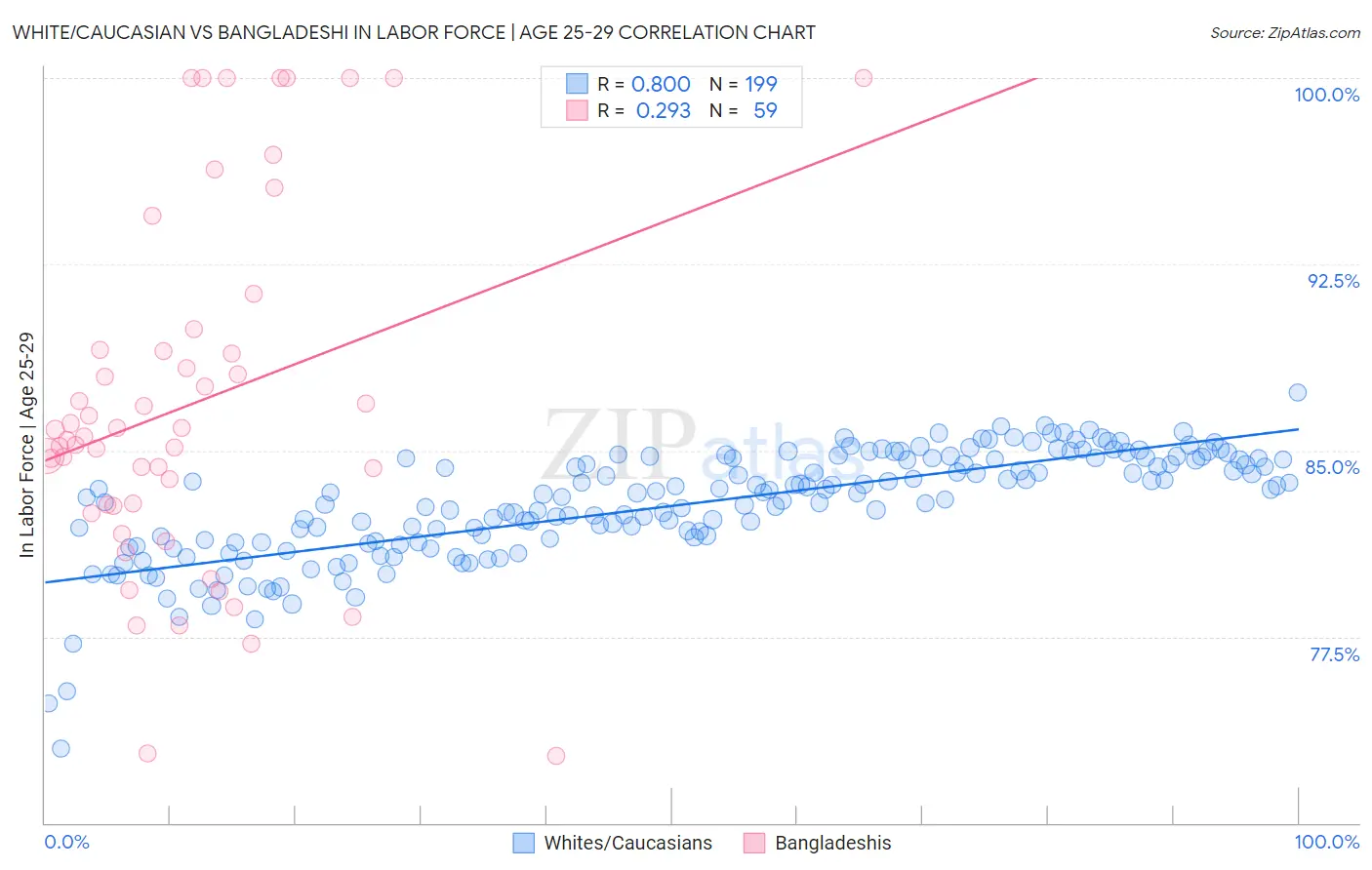 White/Caucasian vs Bangladeshi In Labor Force | Age 25-29