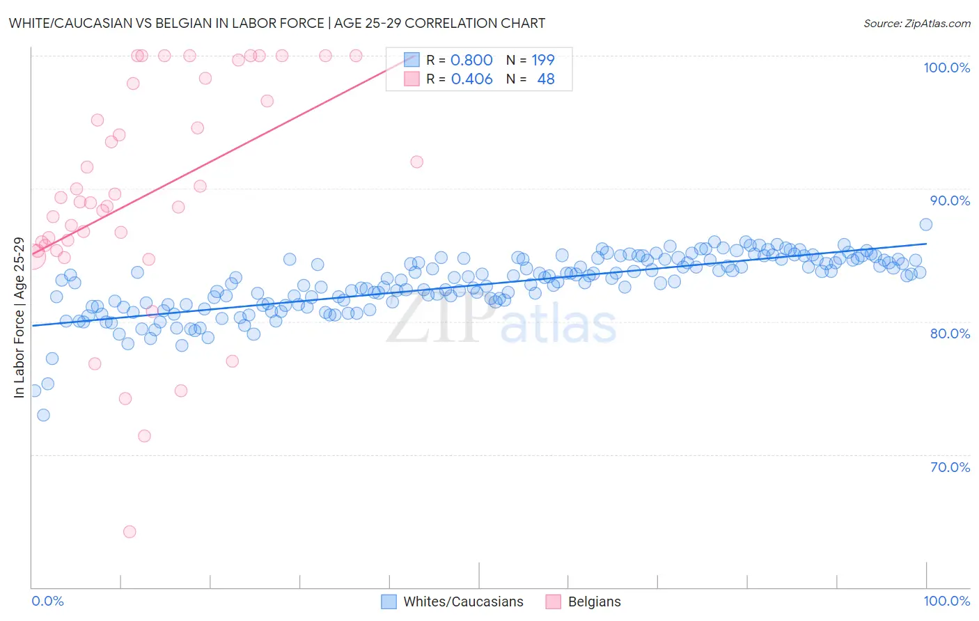 White/Caucasian vs Belgian In Labor Force | Age 25-29