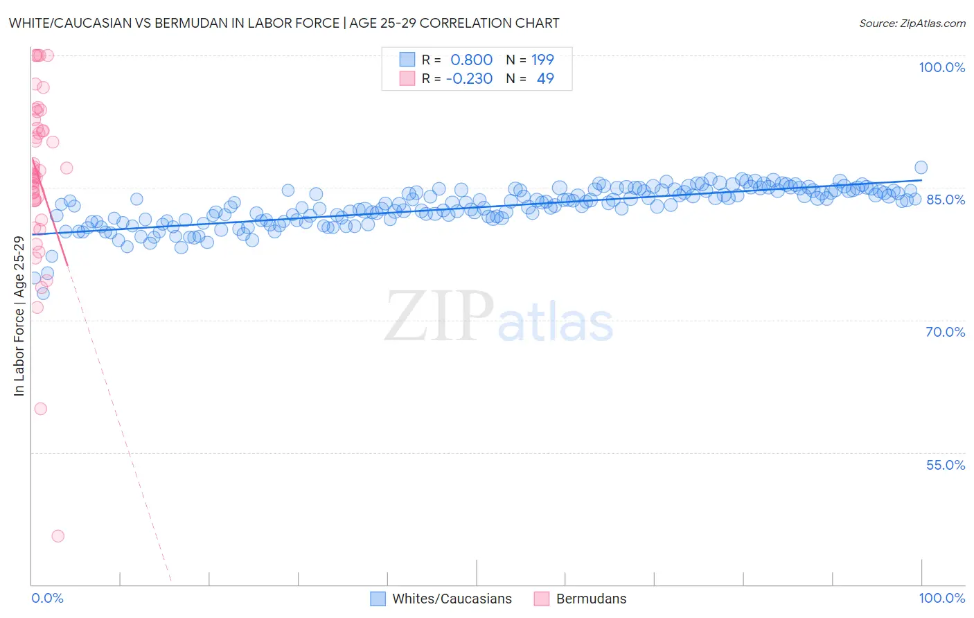 White/Caucasian vs Bermudan In Labor Force | Age 25-29