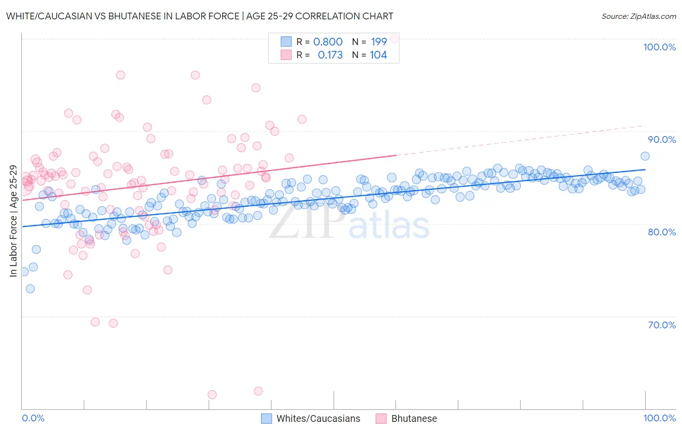 White/Caucasian vs Bhutanese In Labor Force | Age 25-29