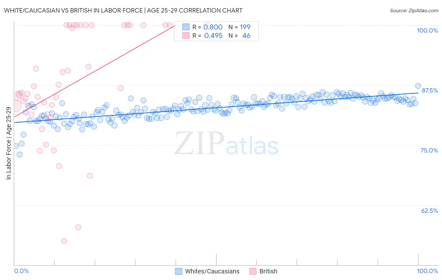 White/Caucasian vs British In Labor Force | Age 25-29