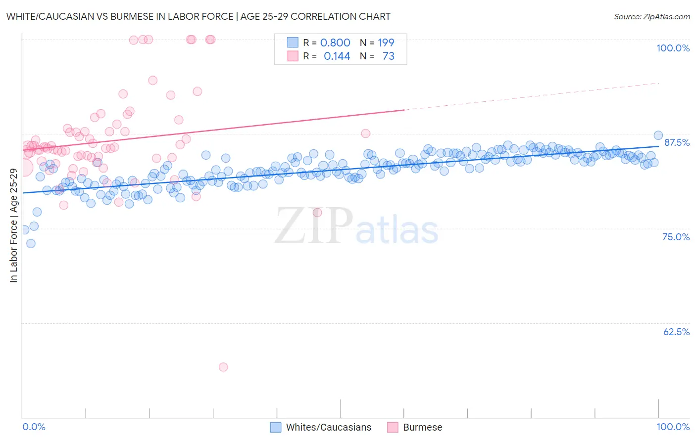 White/Caucasian vs Burmese In Labor Force | Age 25-29