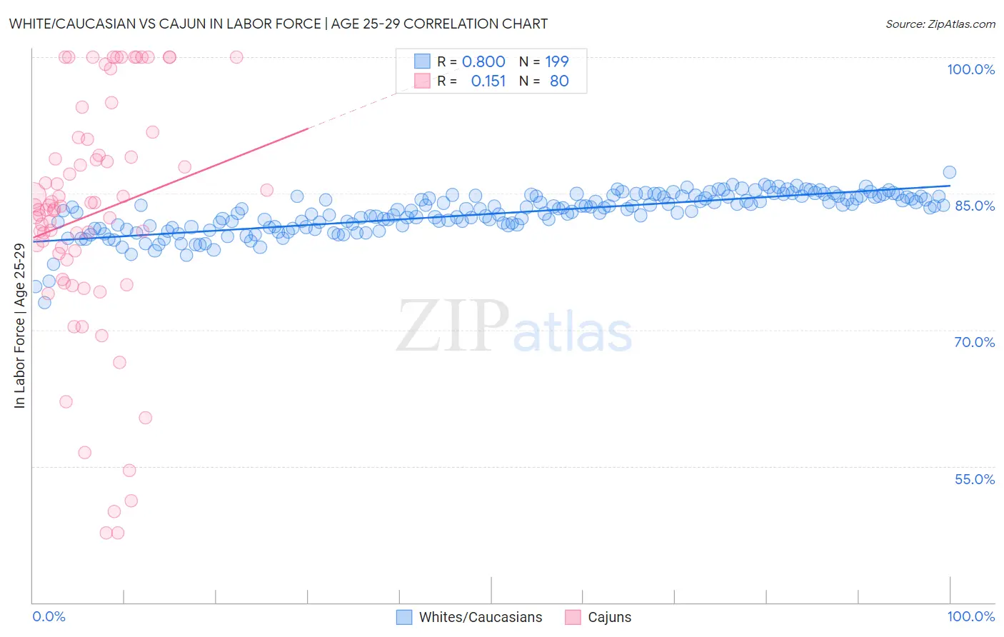White/Caucasian vs Cajun In Labor Force | Age 25-29