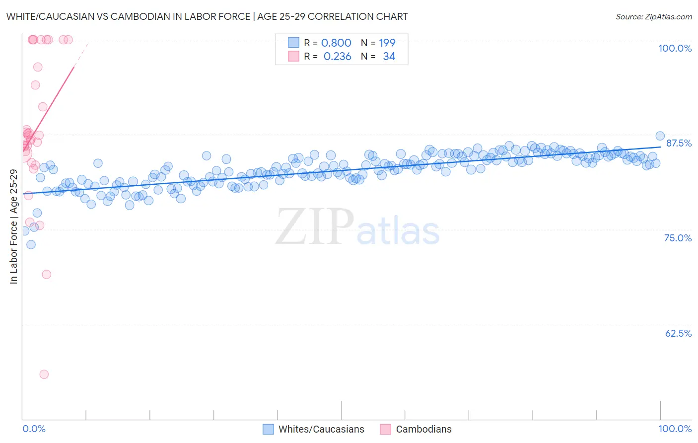 White/Caucasian vs Cambodian In Labor Force | Age 25-29