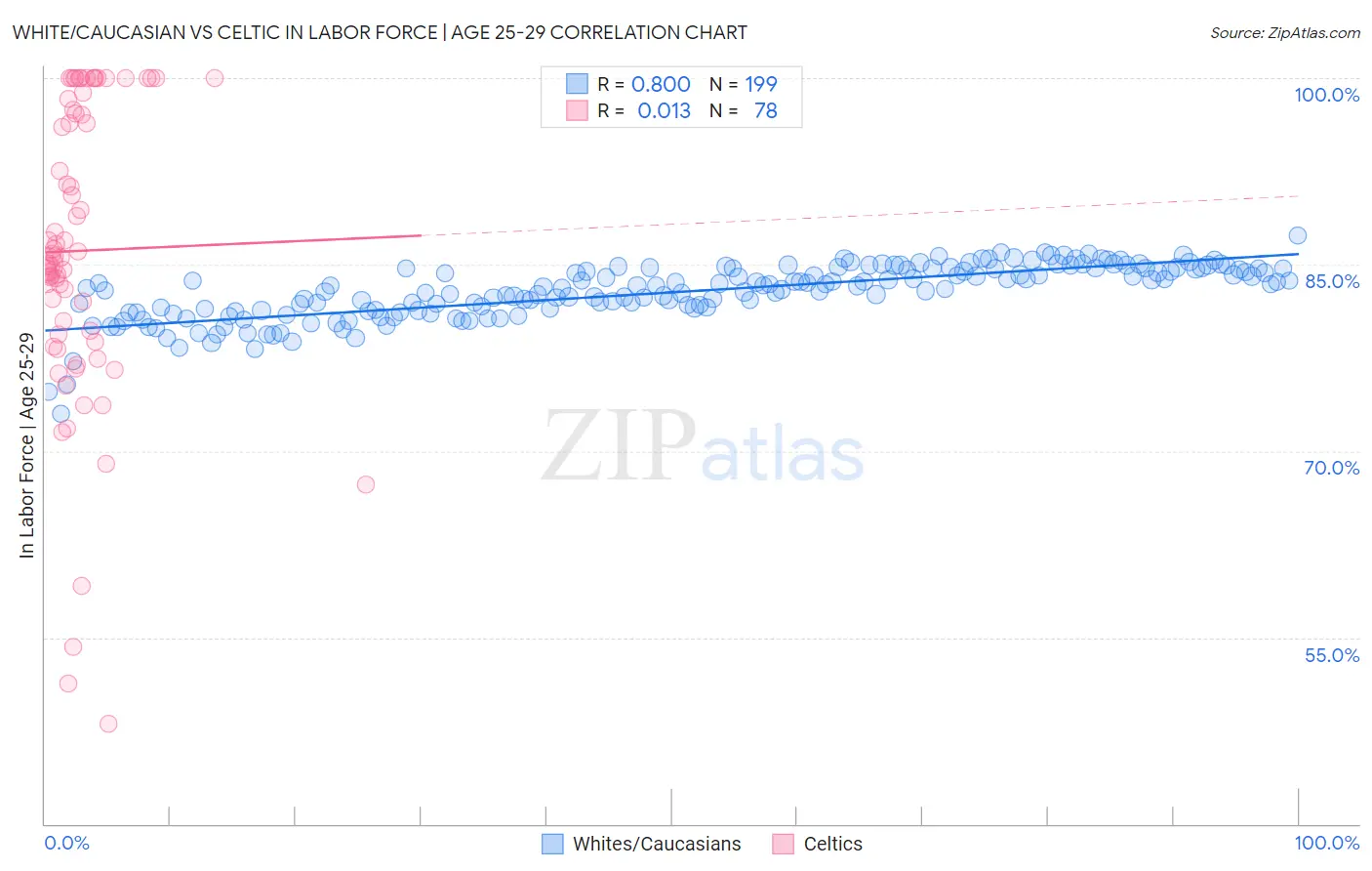 White/Caucasian vs Celtic In Labor Force | Age 25-29