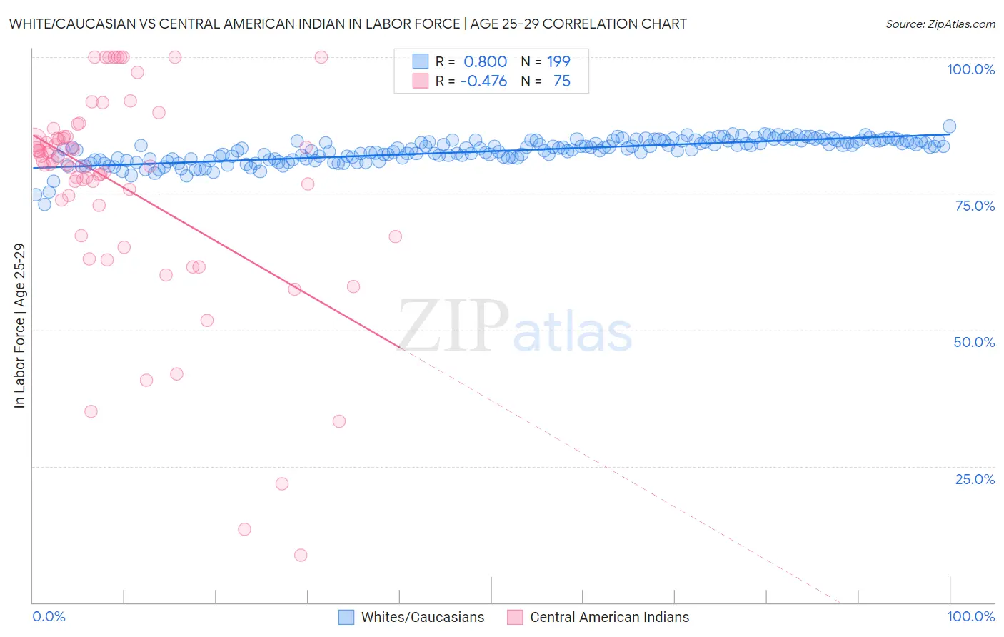 White/Caucasian vs Central American Indian In Labor Force | Age 25-29