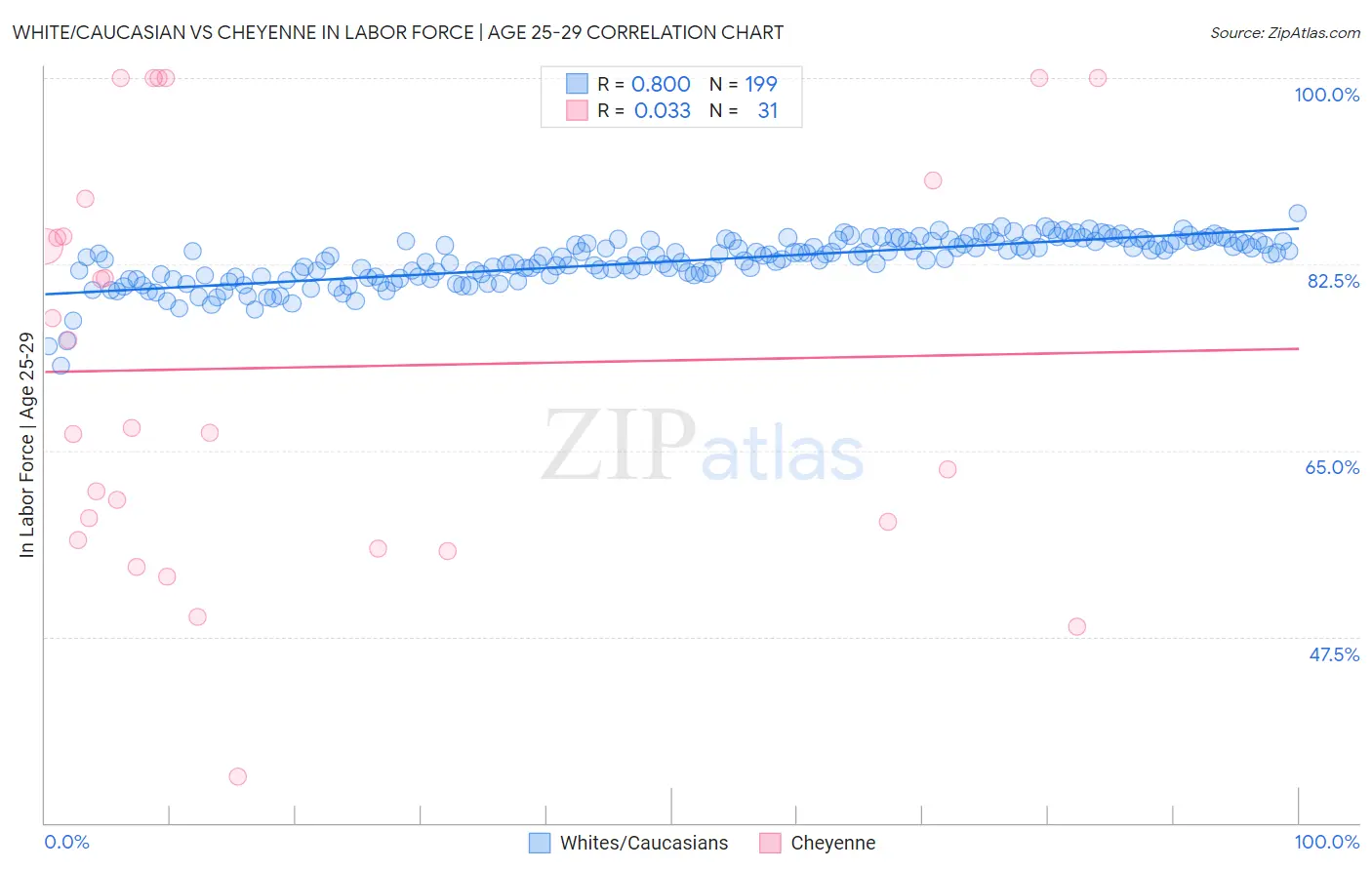 White/Caucasian vs Cheyenne In Labor Force | Age 25-29