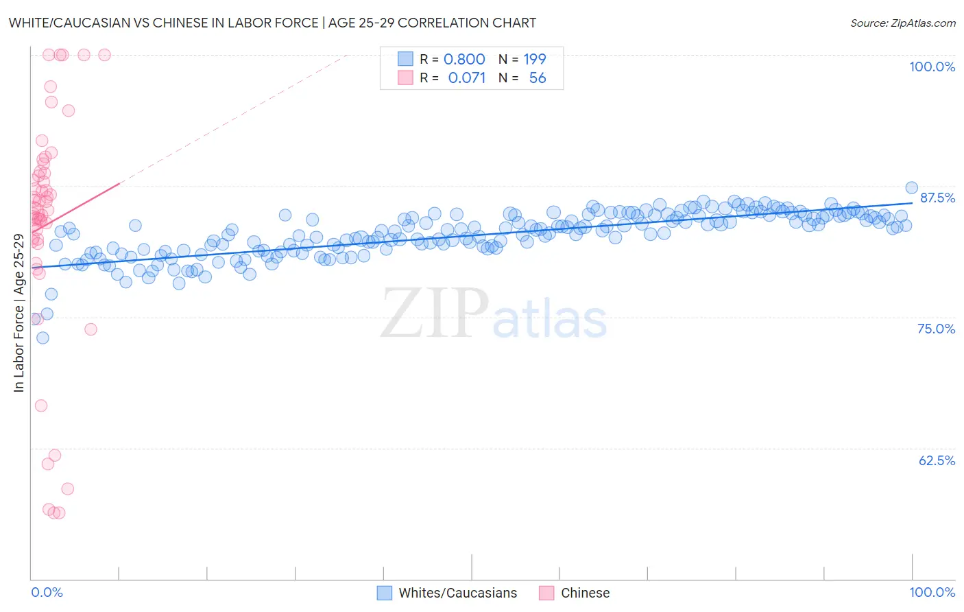 White/Caucasian vs Chinese In Labor Force | Age 25-29