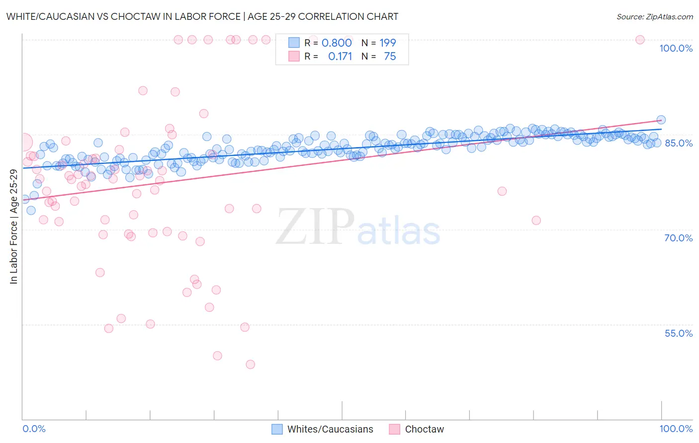 White/Caucasian vs Choctaw In Labor Force | Age 25-29
