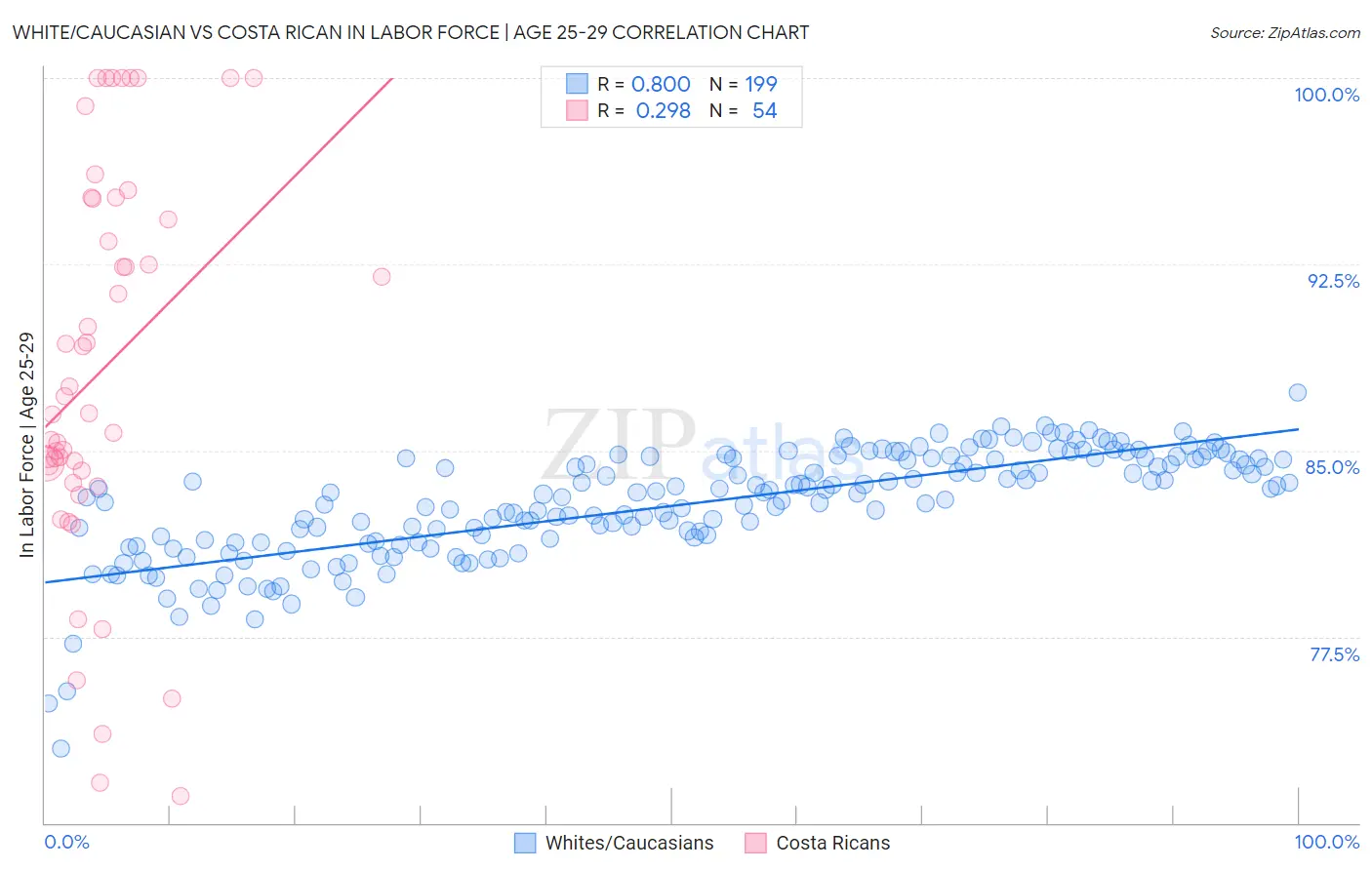 White/Caucasian vs Costa Rican In Labor Force | Age 25-29