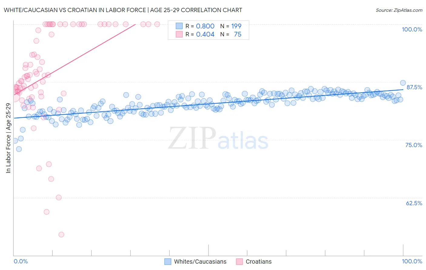 White/Caucasian vs Croatian In Labor Force | Age 25-29