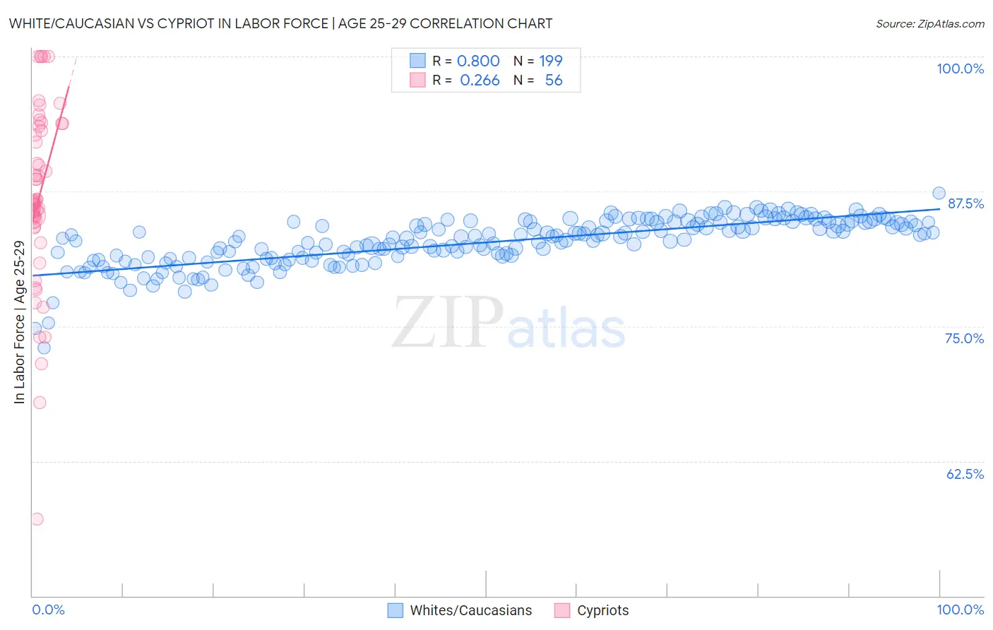 White/Caucasian vs Cypriot In Labor Force | Age 25-29