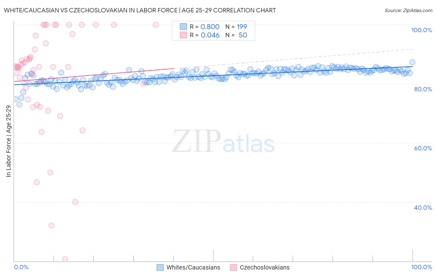 White/Caucasian vs Czechoslovakian In Labor Force | Age 25-29