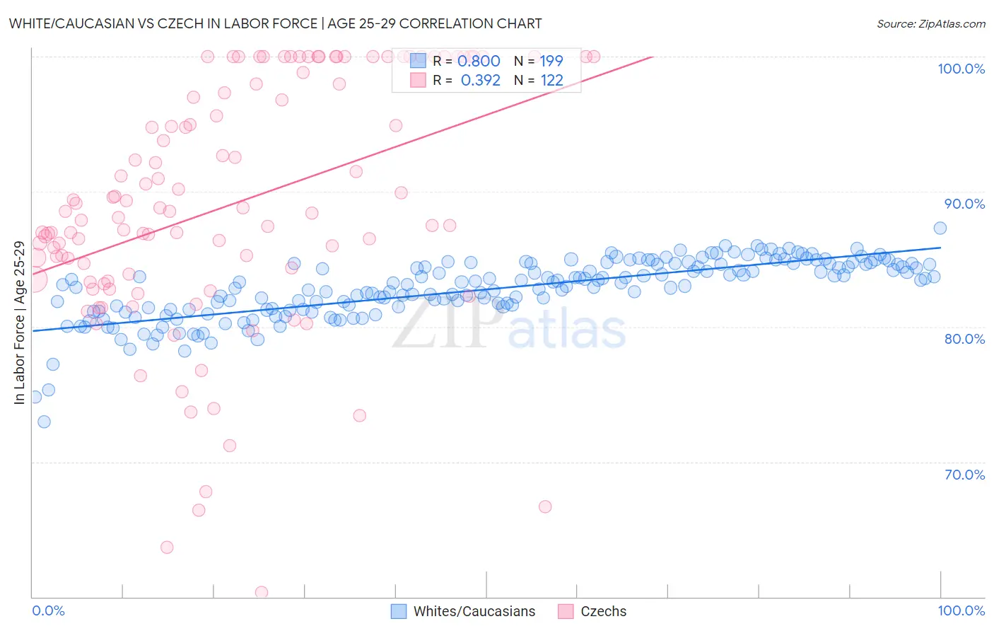 White/Caucasian vs Czech In Labor Force | Age 25-29
