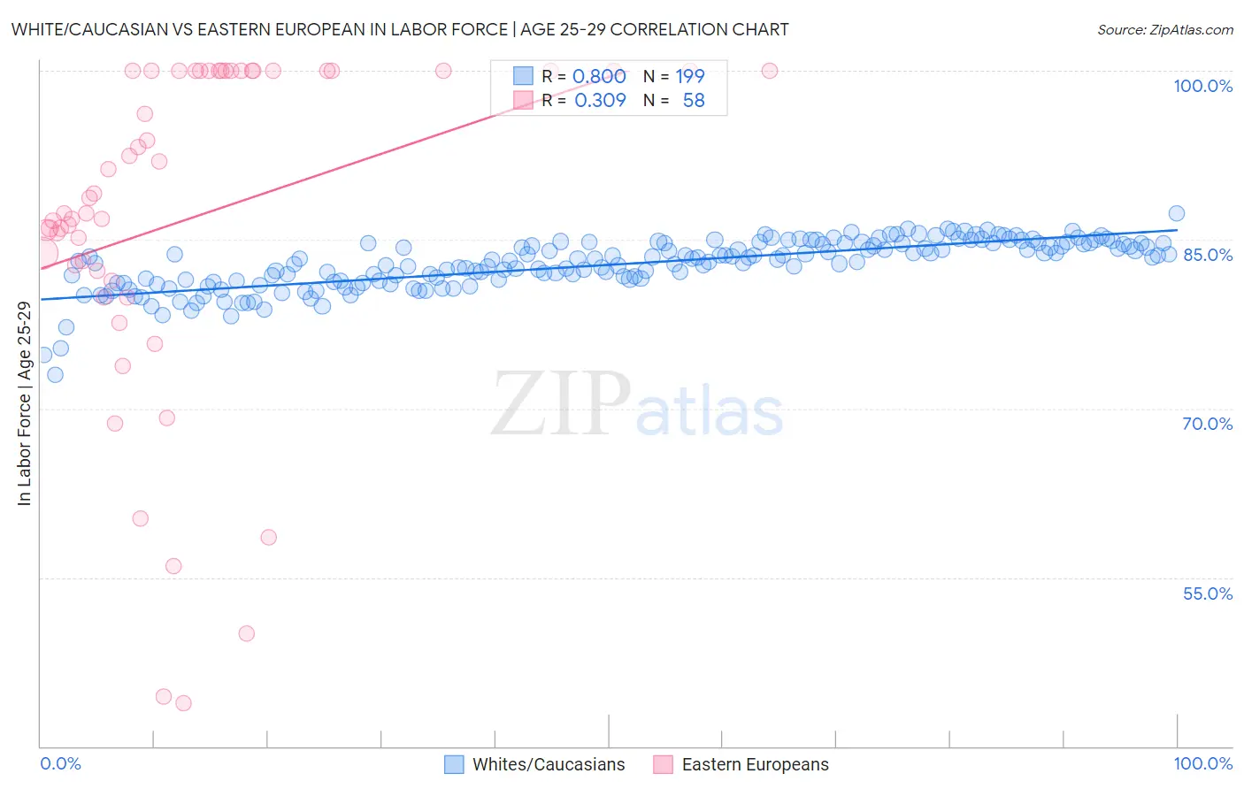 White/Caucasian vs Eastern European In Labor Force | Age 25-29