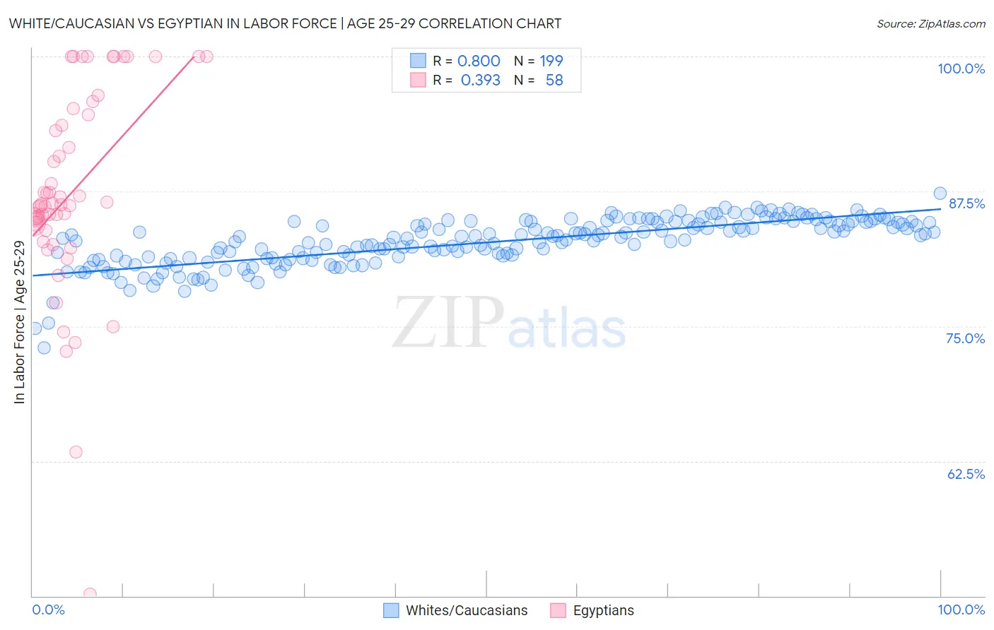 White/Caucasian vs Egyptian In Labor Force | Age 25-29