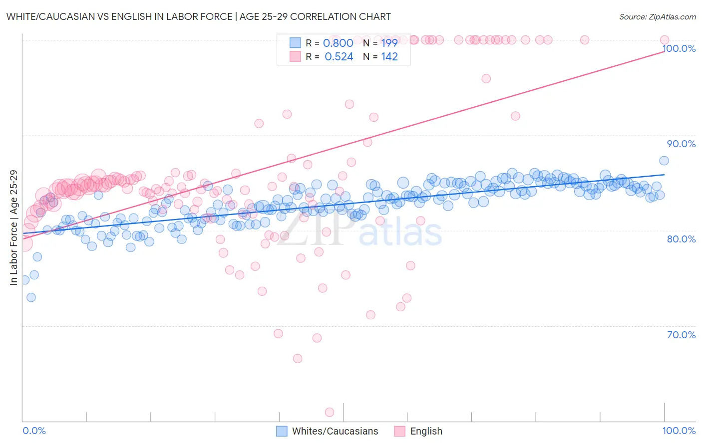 White/Caucasian vs English In Labor Force | Age 25-29