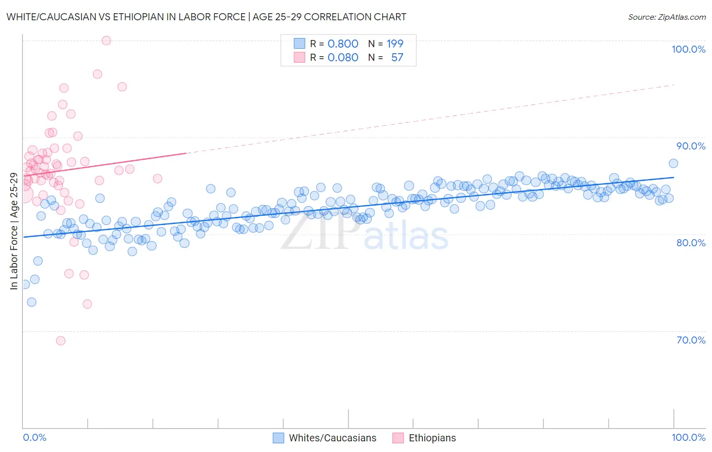 White/Caucasian vs Ethiopian In Labor Force | Age 25-29