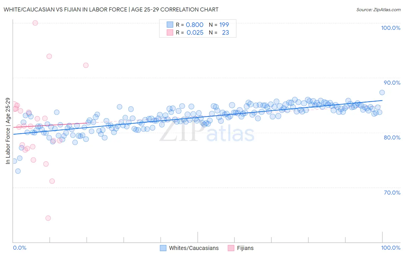 White/Caucasian vs Fijian In Labor Force | Age 25-29