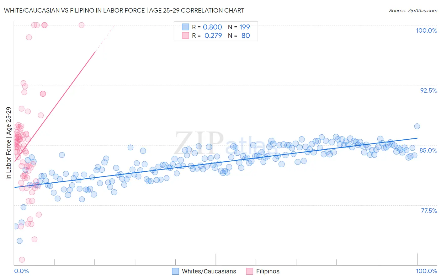 White/Caucasian vs Filipino In Labor Force | Age 25-29