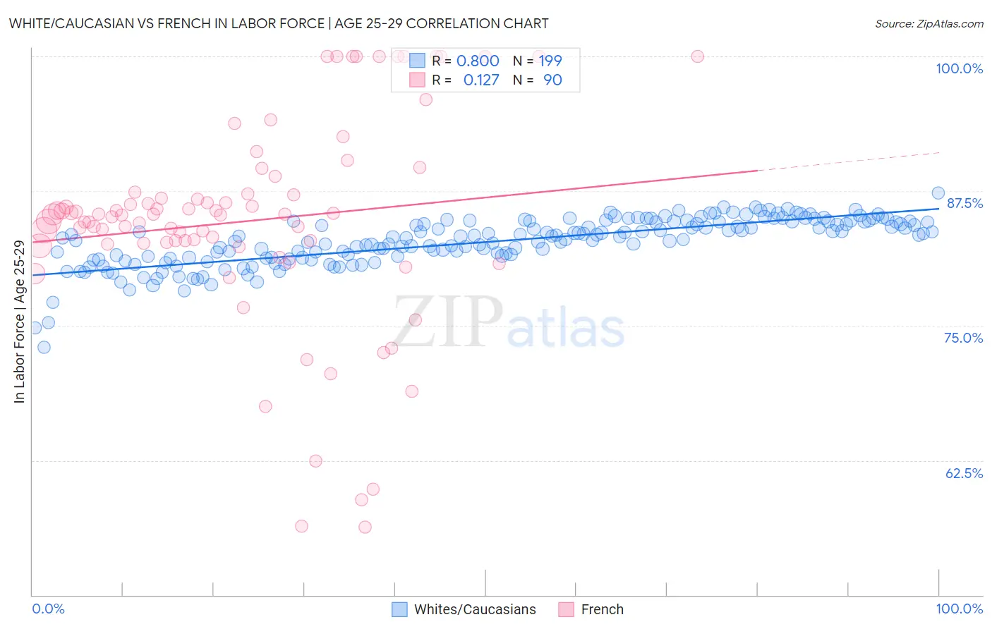 White/Caucasian vs French In Labor Force | Age 25-29