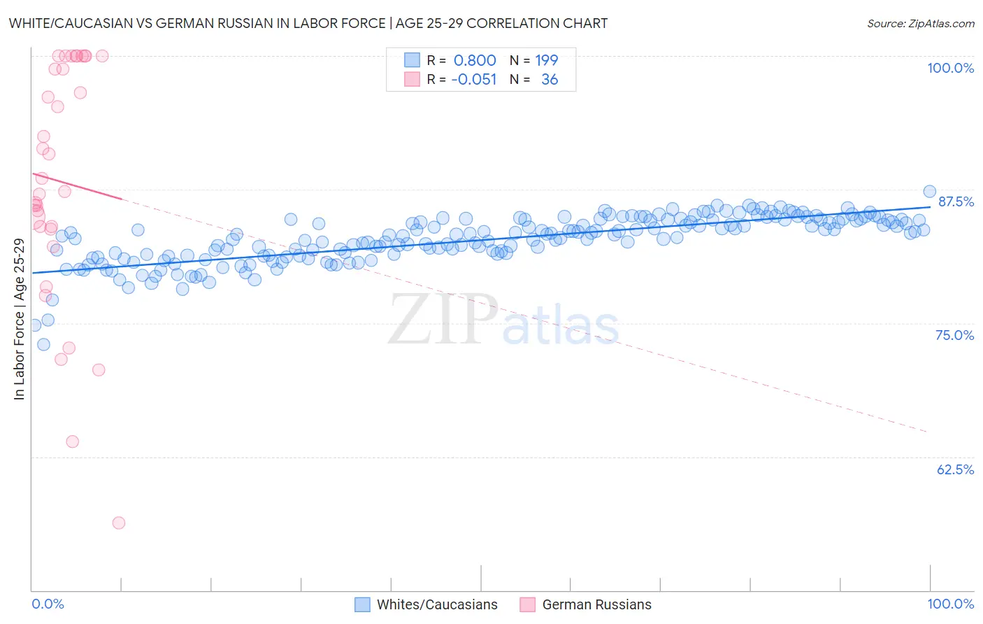 White/Caucasian vs German Russian In Labor Force | Age 25-29