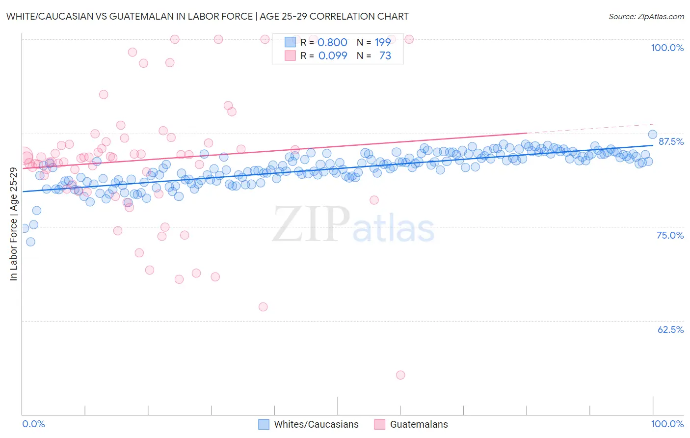 White/Caucasian vs Guatemalan In Labor Force | Age 25-29