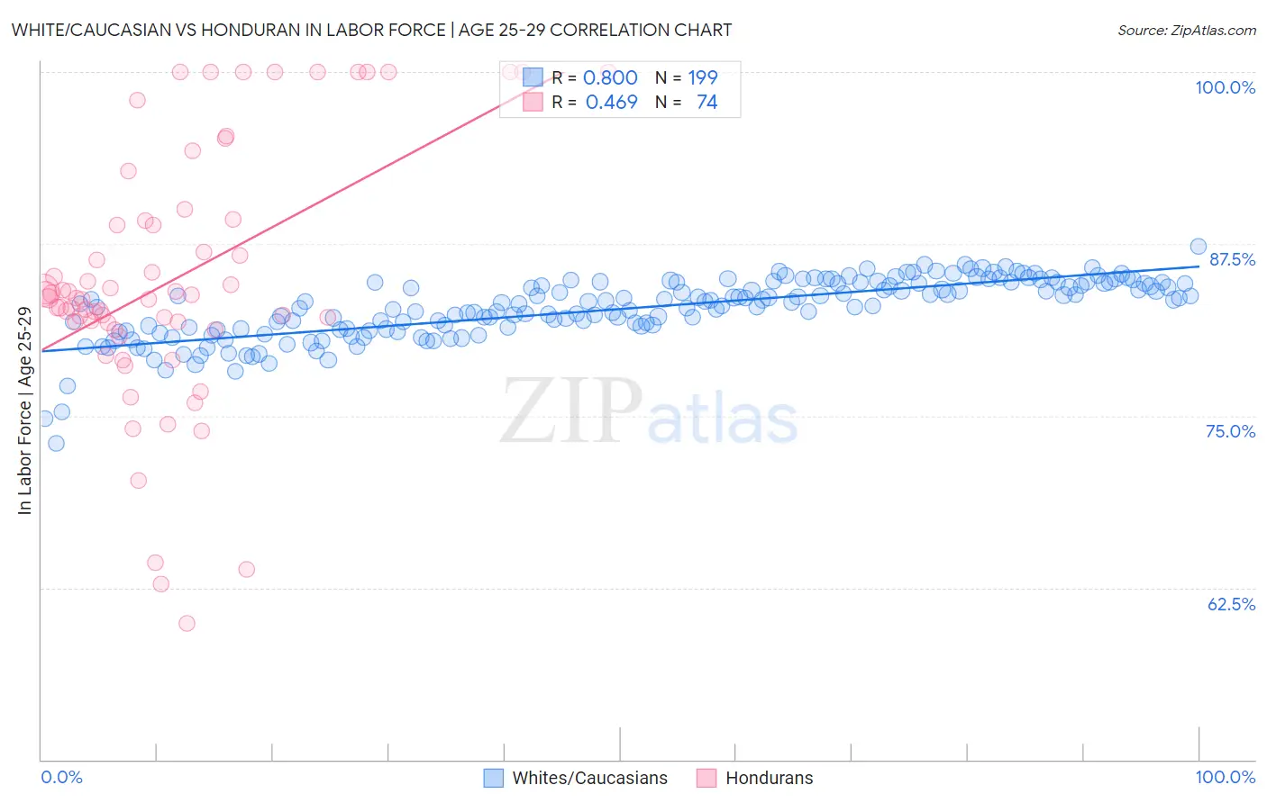 White/Caucasian vs Honduran In Labor Force | Age 25-29