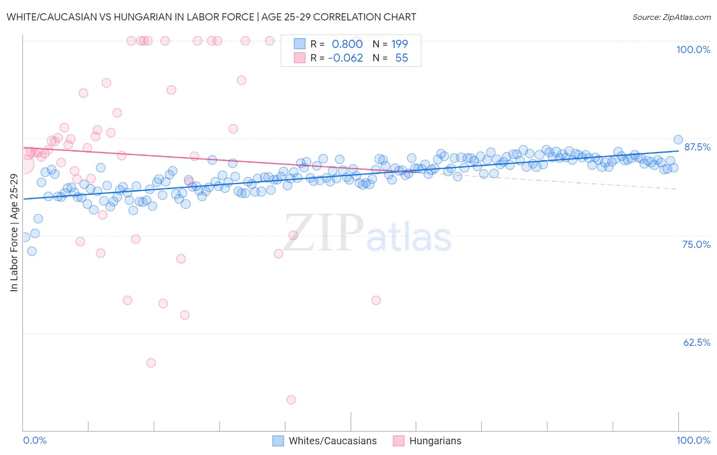 White/Caucasian vs Hungarian In Labor Force | Age 25-29