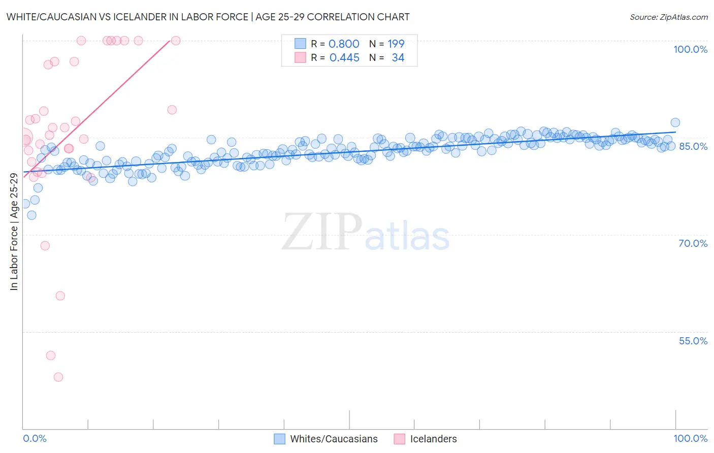 White/Caucasian vs Icelander In Labor Force | Age 25-29