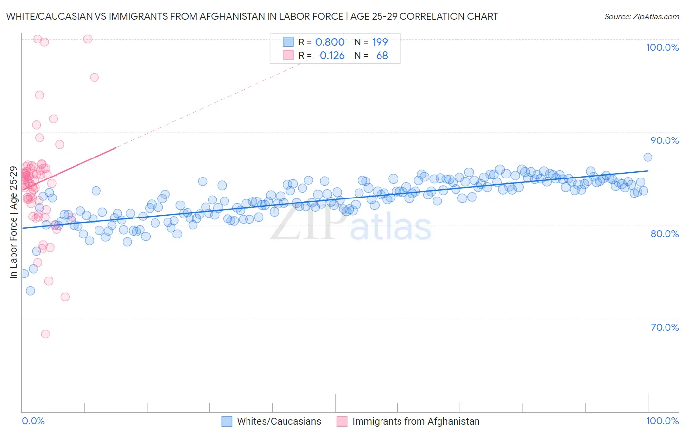 White/Caucasian vs Immigrants from Afghanistan In Labor Force | Age 25-29