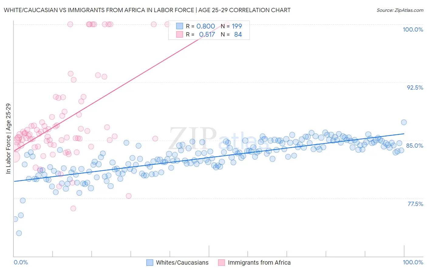 White/Caucasian vs Immigrants from Africa In Labor Force | Age 25-29