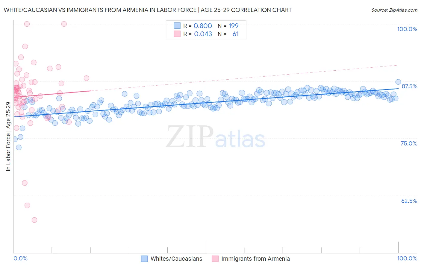 White/Caucasian vs Immigrants from Armenia In Labor Force | Age 25-29