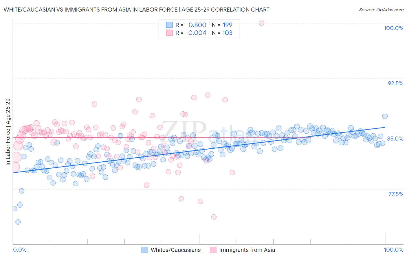 White/Caucasian vs Immigrants from Asia In Labor Force | Age 25-29