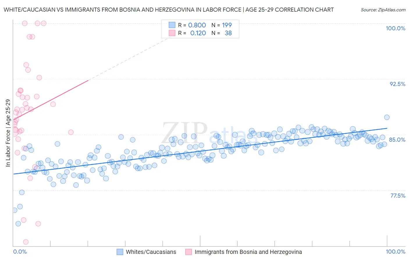 White/Caucasian vs Immigrants from Bosnia and Herzegovina In Labor Force | Age 25-29