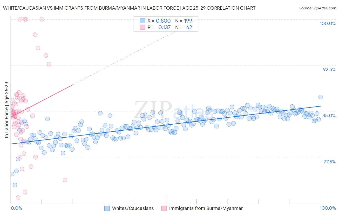 White/Caucasian vs Immigrants from Burma/Myanmar In Labor Force | Age 25-29