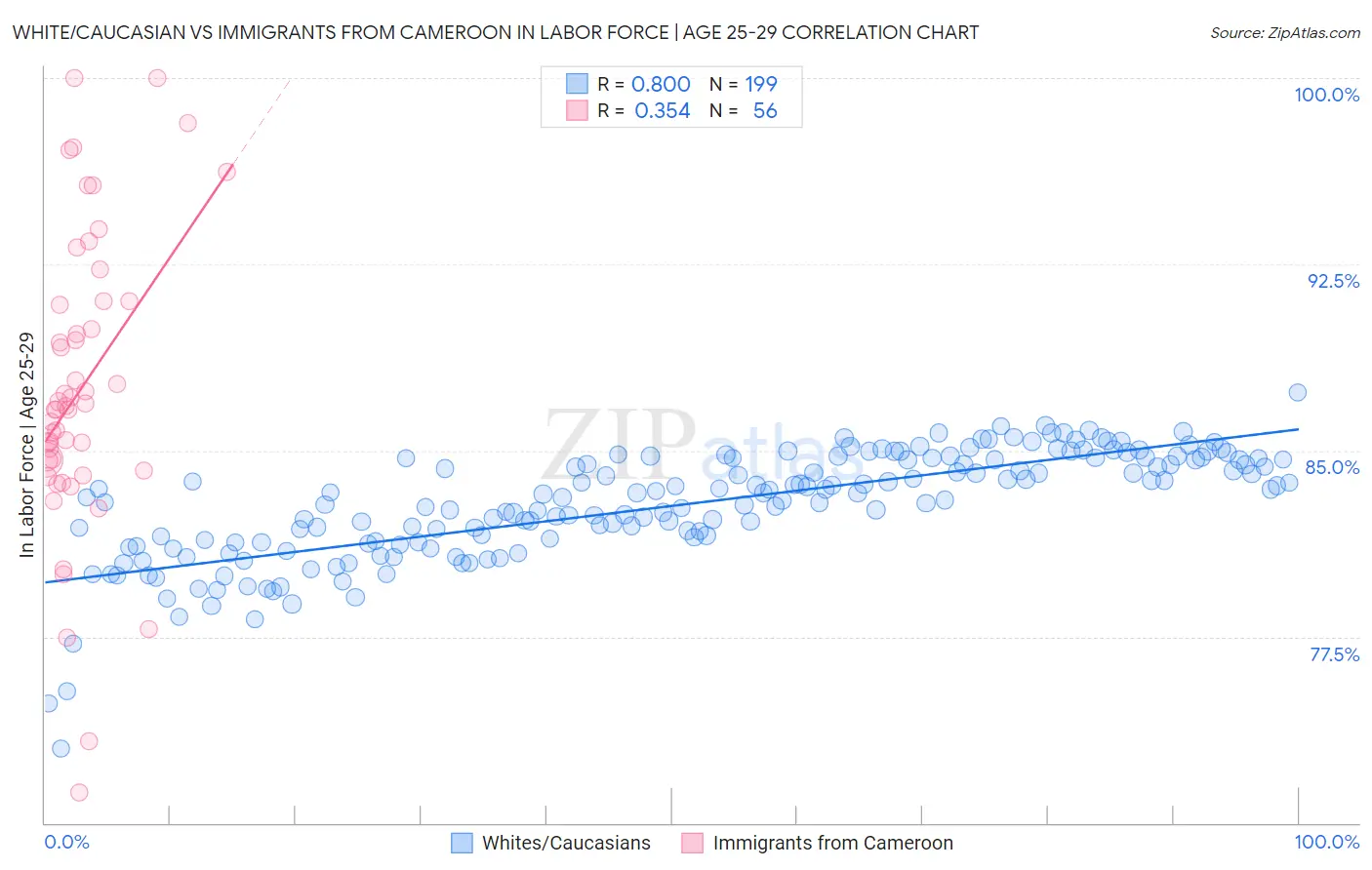 White/Caucasian vs Immigrants from Cameroon In Labor Force | Age 25-29