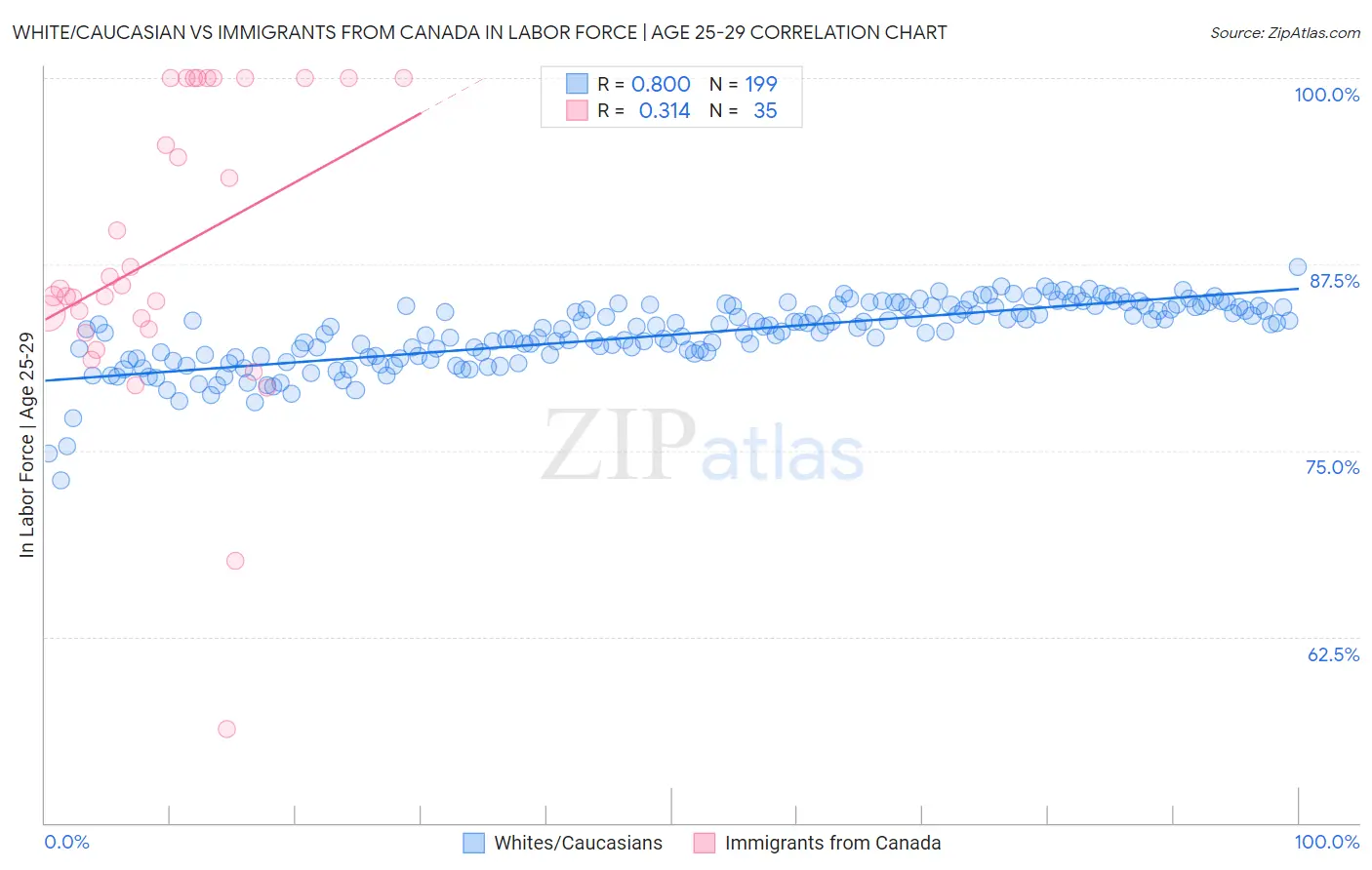 White/Caucasian vs Immigrants from Canada In Labor Force | Age 25-29