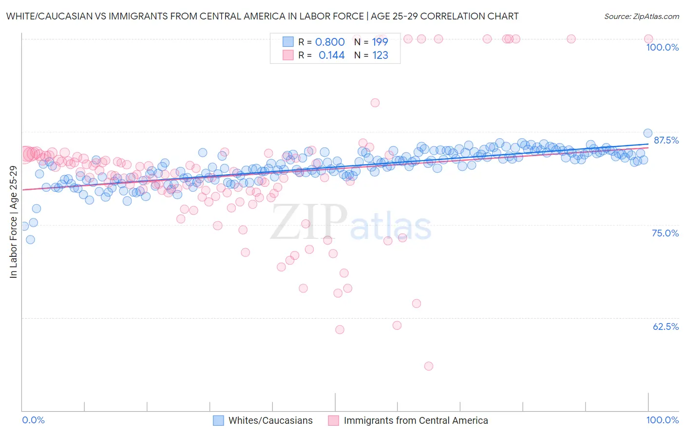 White/Caucasian vs Immigrants from Central America In Labor Force | Age 25-29