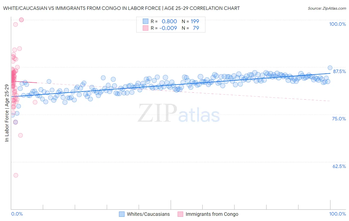 White/Caucasian vs Immigrants from Congo In Labor Force | Age 25-29