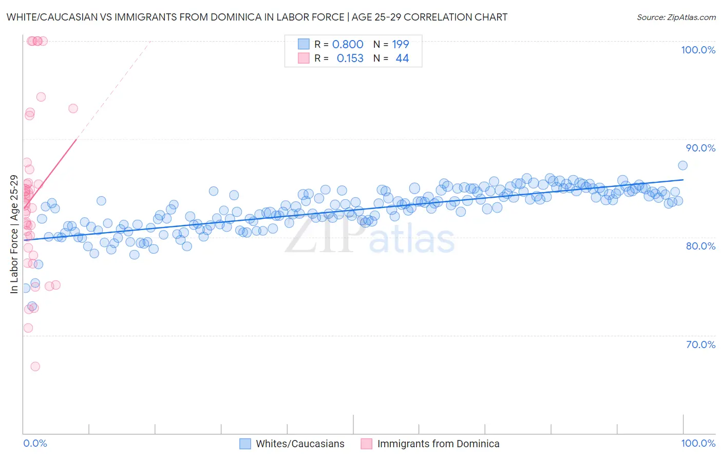 White/Caucasian vs Immigrants from Dominica In Labor Force | Age 25-29