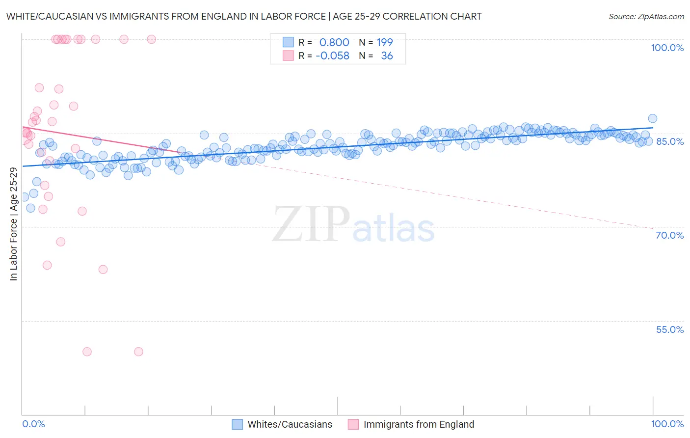 White/Caucasian vs Immigrants from England In Labor Force | Age 25-29