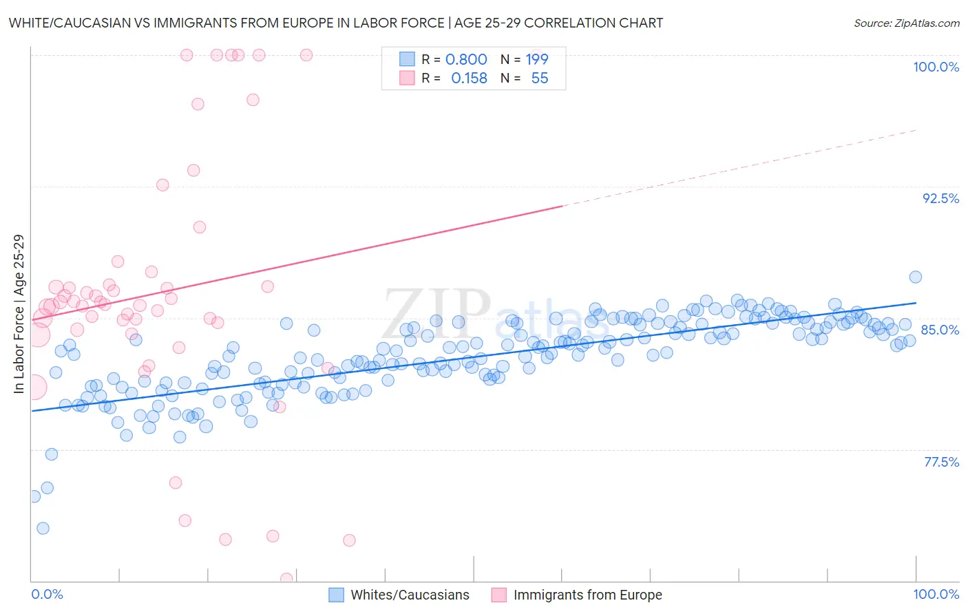 White/Caucasian vs Immigrants from Europe In Labor Force | Age 25-29