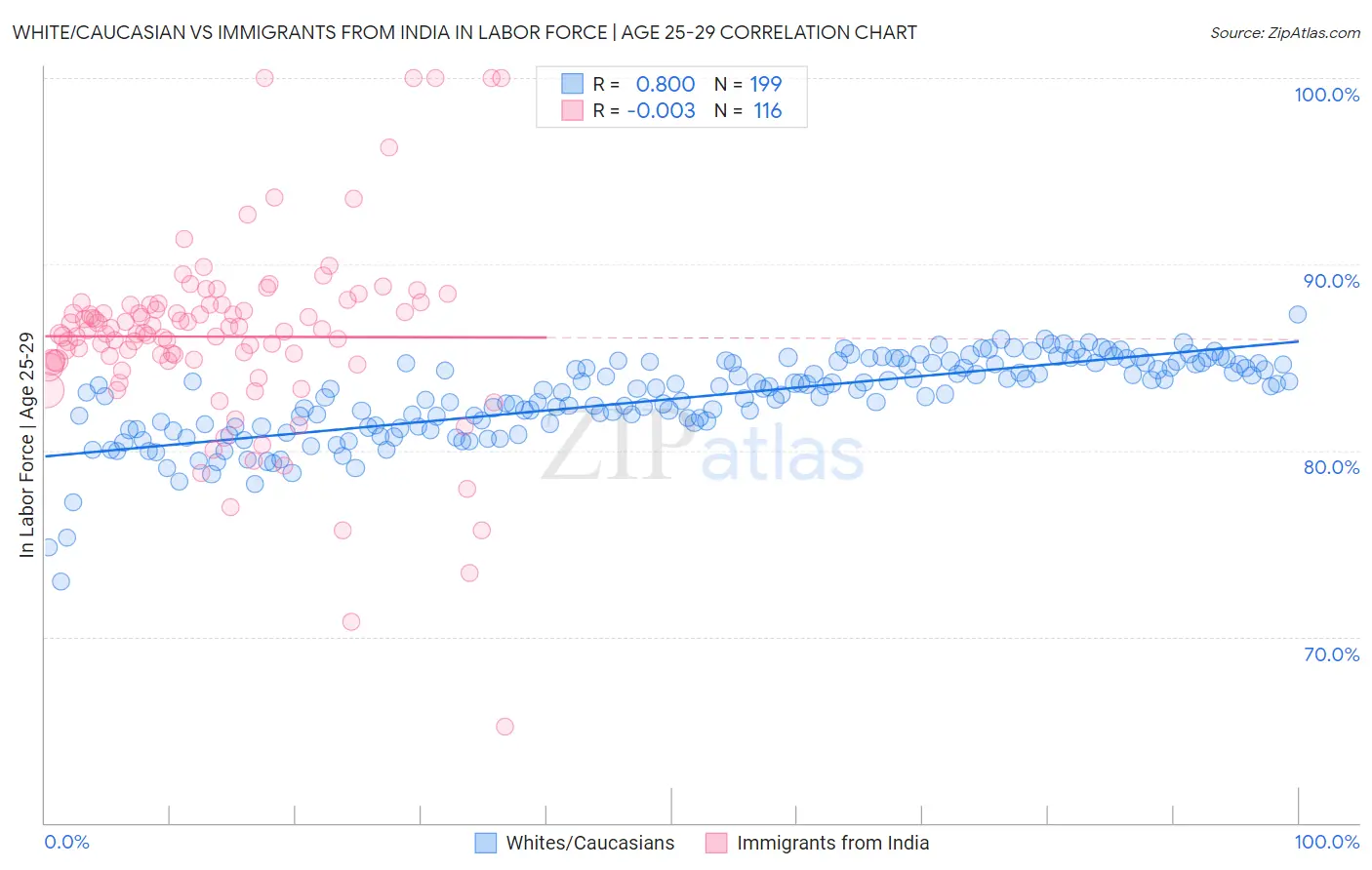 White/Caucasian vs Immigrants from India In Labor Force | Age 25-29