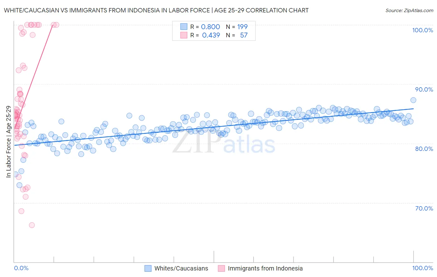 White/Caucasian vs Immigrants from Indonesia In Labor Force | Age 25-29