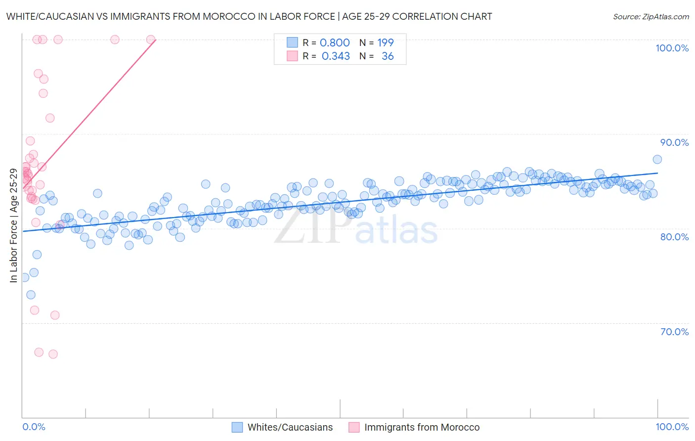 White/Caucasian vs Immigrants from Morocco In Labor Force | Age 25-29