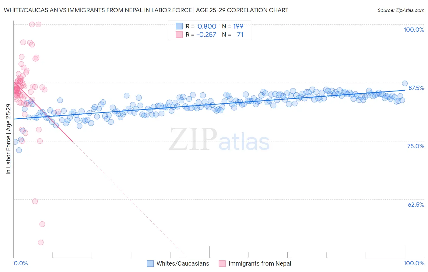 White/Caucasian vs Immigrants from Nepal In Labor Force | Age 25-29