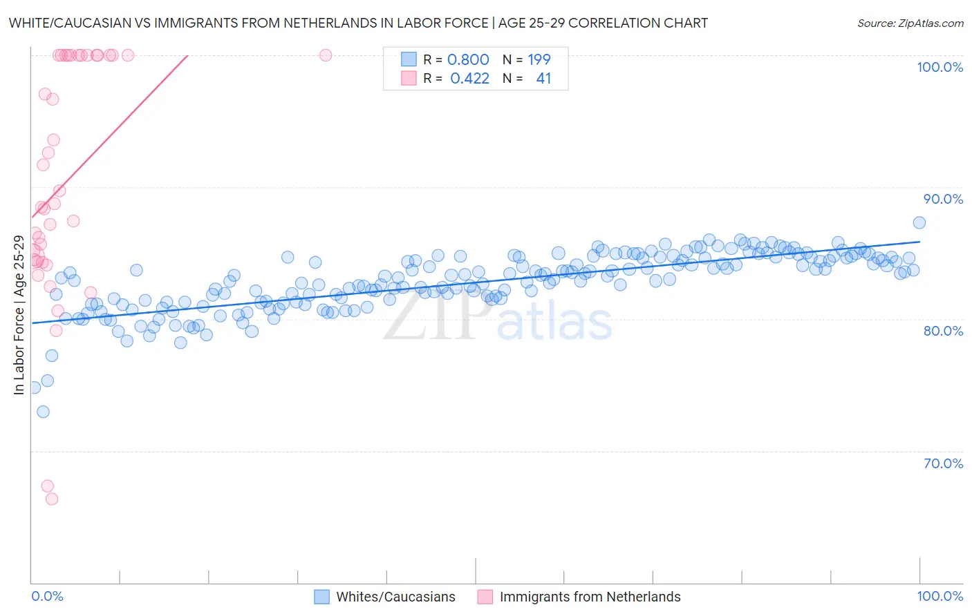 White/Caucasian vs Immigrants from Netherlands In Labor Force | Age 25-29